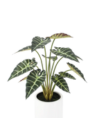 Künstliche Alocasia - Tamika | 70 cm