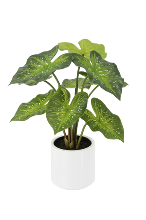 Künstliche Caladium - Tiara | 60 cm