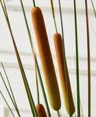 Künstlicher Rohrkolben – Emeric | 150 cm