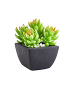 Künstliche Sukkulente – Nepomuk | 14 cm