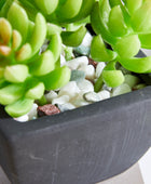 Künstliche Sukkulente – Nepomuk | 14 cm