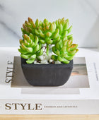 Künstliche Sukkulente – Nepomuk | 14 cm