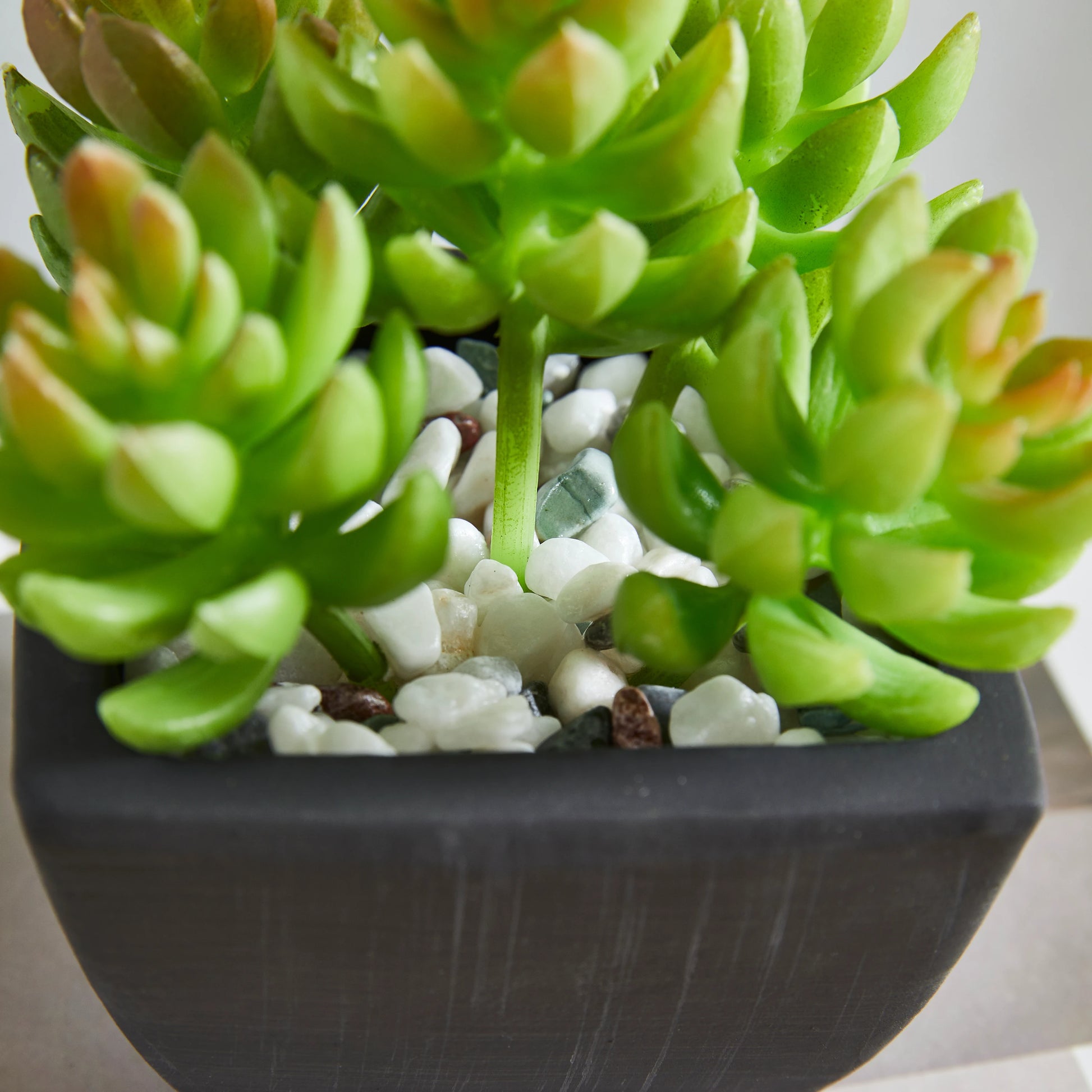 Künstliche Sukkulente – Nepomuk | 14 cm