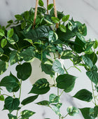 Künstlicher Hänge-Pothos – Cornelius | 80 cm