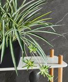 Künstliche Grünlilie – Liora | 50 cm