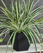 Künstliche Grünlilie – Liora | 50 cm