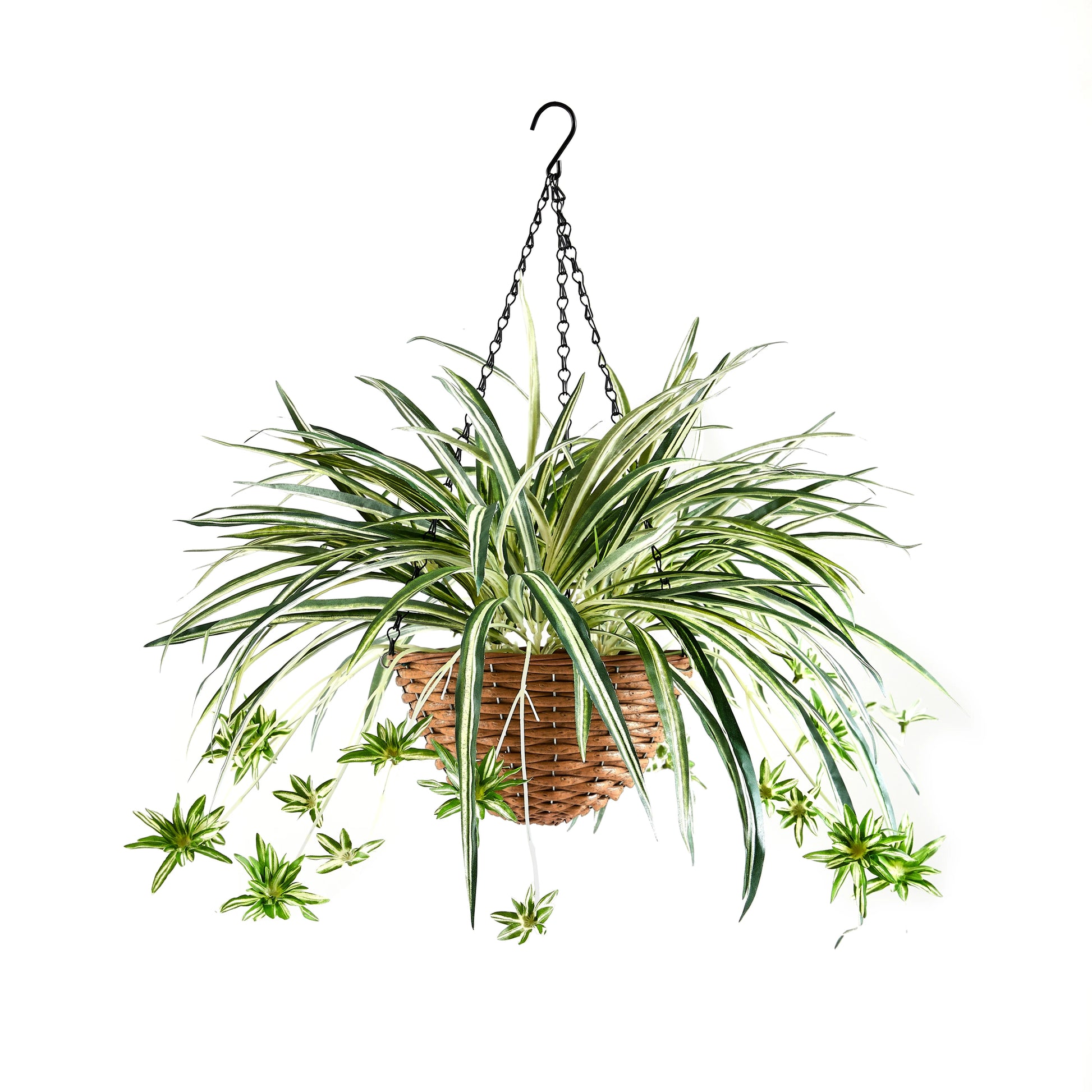 Künstliche Hänge-Grünlilie – Aurelio | 60 cm