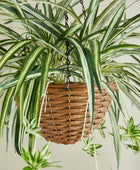 Künstliche Hänge-Grünlilie – Aurelio | 60 cm