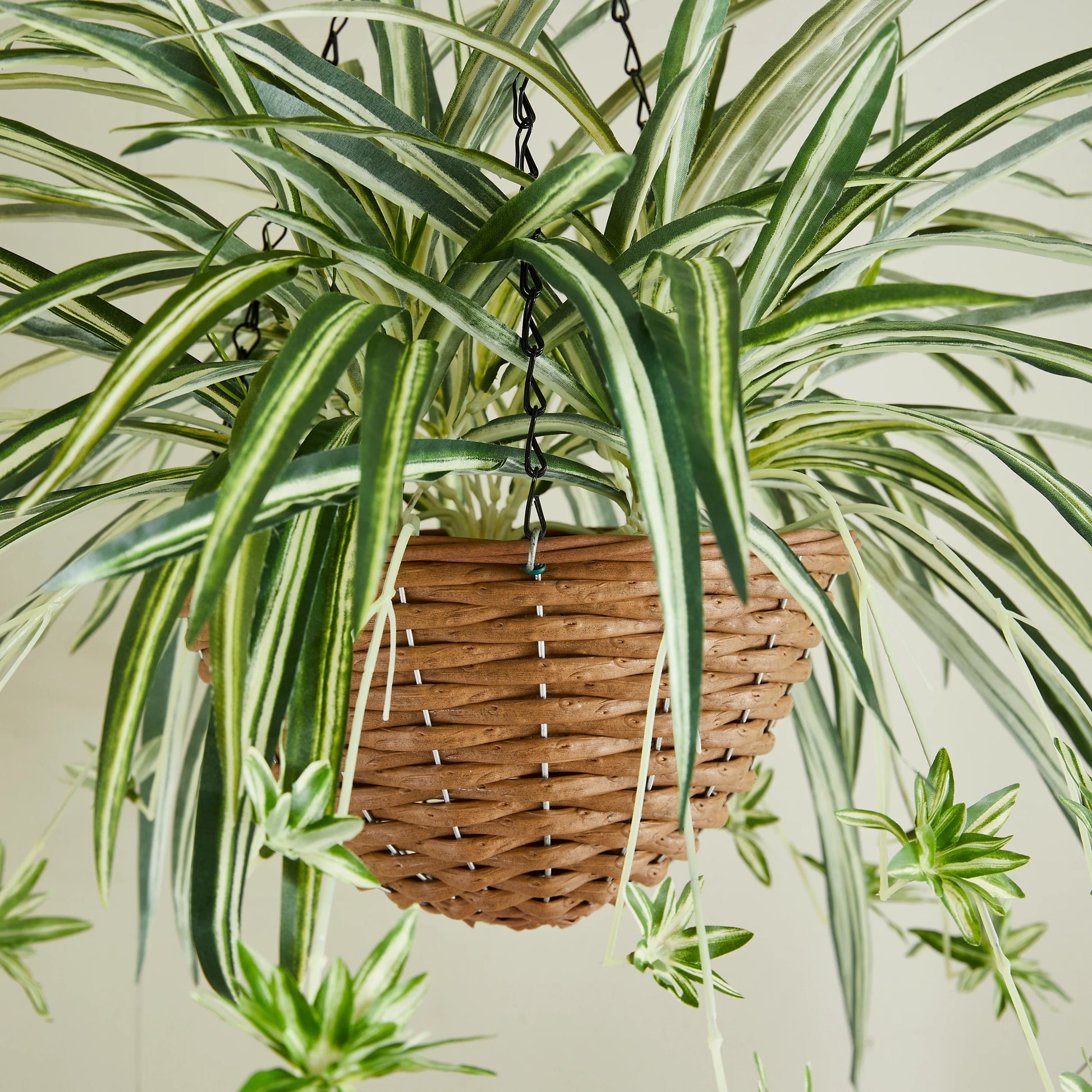 Künstliche Hänge-Grünlilie – Aurelio | 60 cm