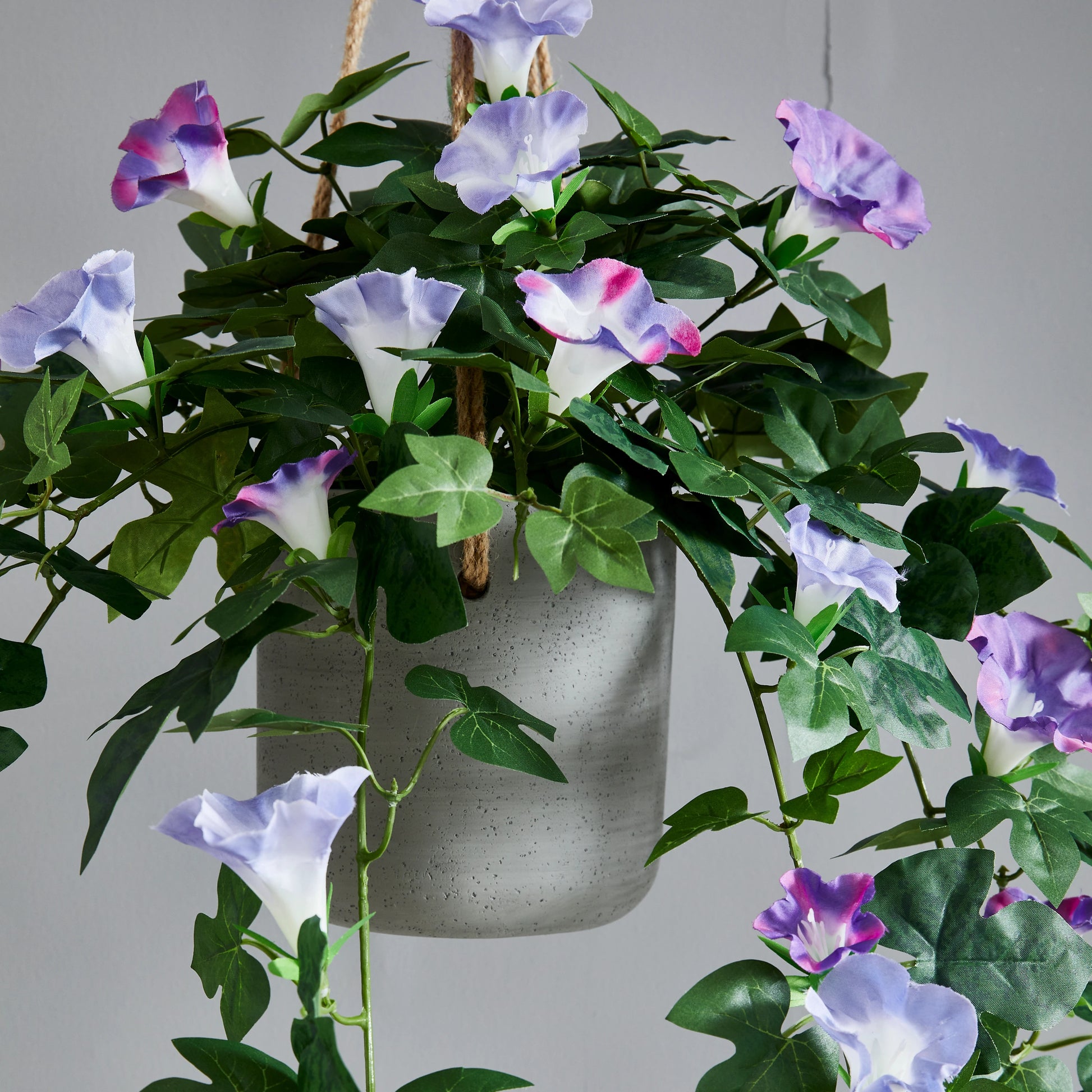 Künstliche Prunkwinde – Lysandra | 80 cm