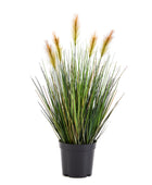 Künstliches Lampenputzergras – Orpheus | 45 cm