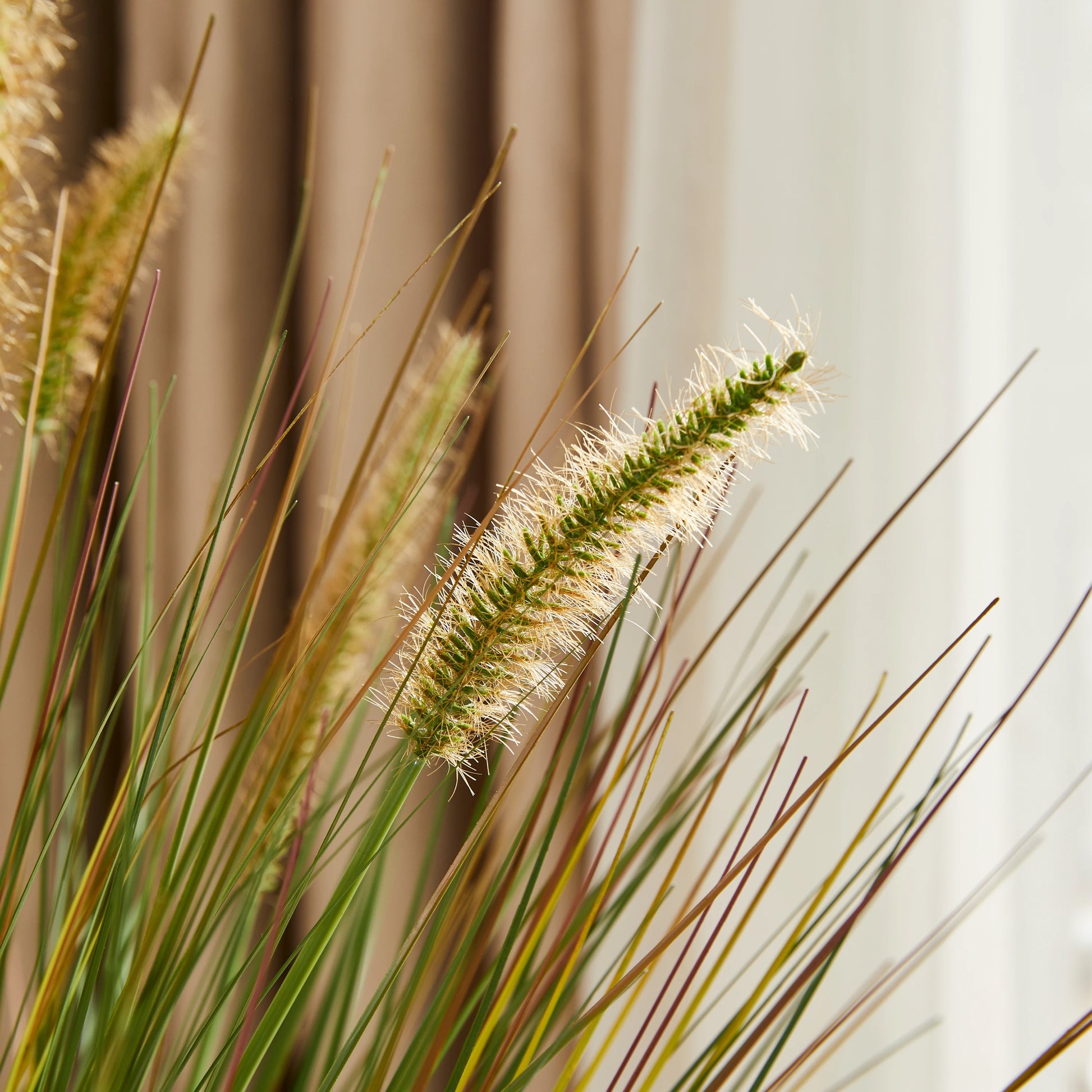 Künstliches Japanisches Lampenputzergras – Yuki | 70 cm