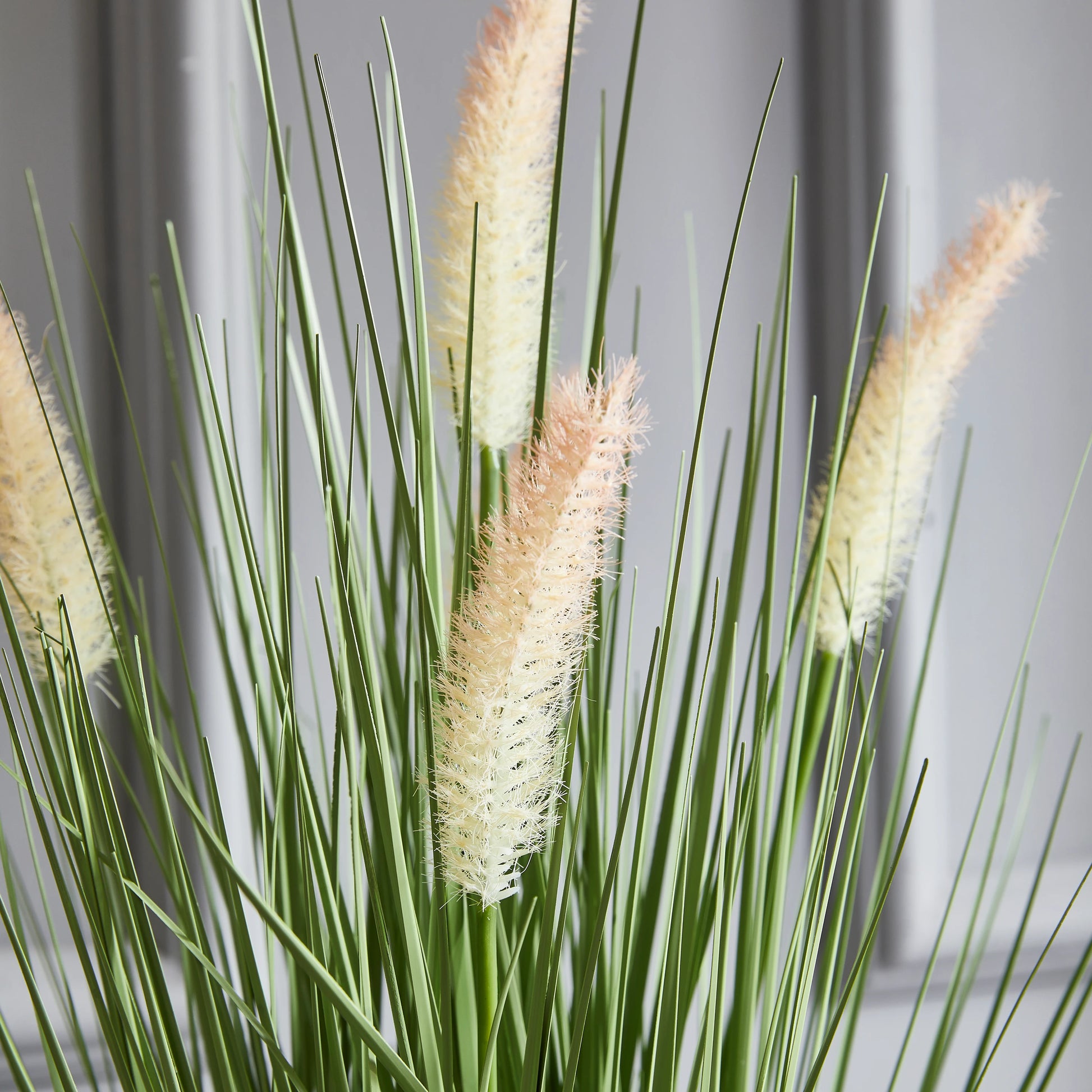 Künstliches Lampenputzergras – Lysandros | 56 cm