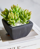 Künstliches Sukkulenten-Set – Aurea | 14 cm
