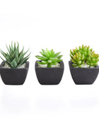 Künstliches Sukkulenten-Set – Aurea | 14 cm