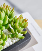 Künstliches Sukkulenten-Set – Aurea | 14 cm