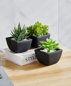 Künstliches Sukkulenten-Set – Aurea | 14 cm