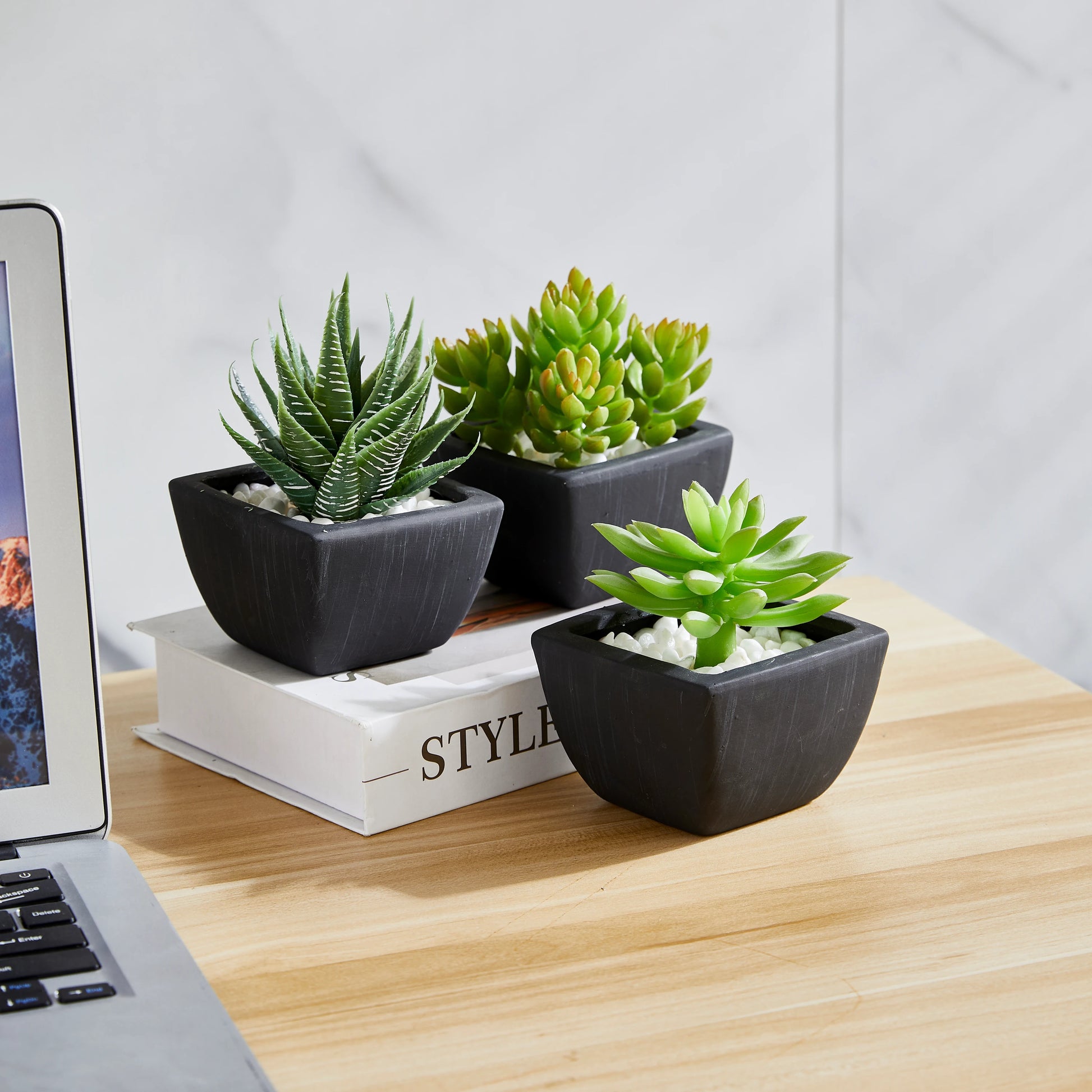 Künstliches Sukkulenten-Set – Aurea | 14 cm