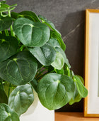 Künstlicher Geldbaum – Cassian | 39 cm