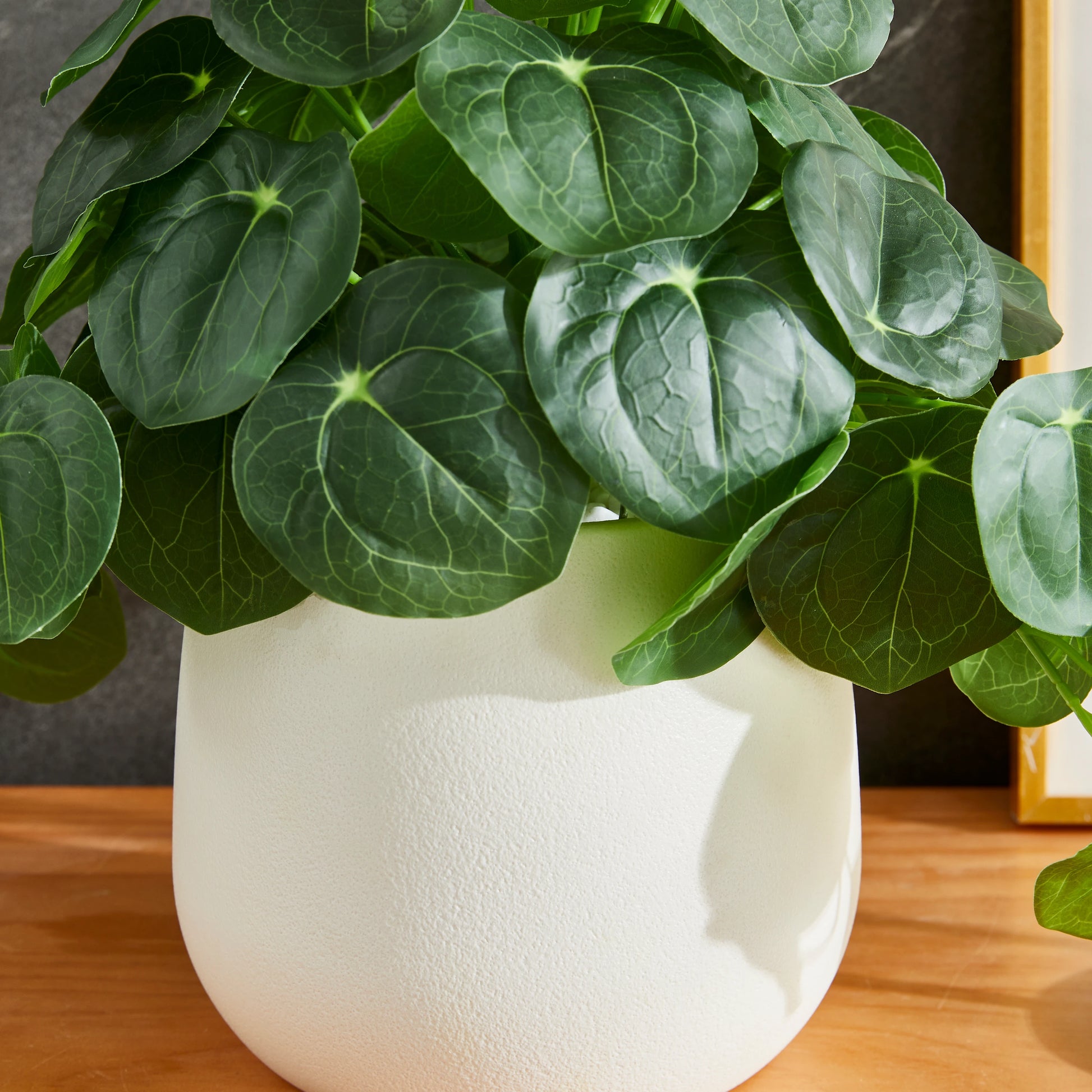 Künstlicher Geldbaum – Cassian | 39 cm