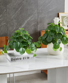 Künstlicher Geldbaum – Cassian | 39 cm