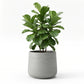 Pflanztopf Kiesel grau | 44X37