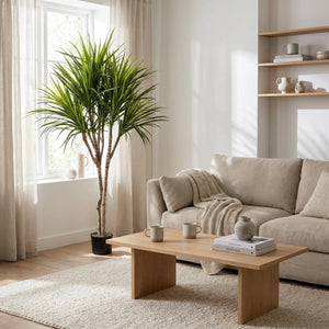 Künstliche Dracaena - Elianor, 180 cm, Kunstbaum von aplanta, mit Echtholzstamm, in Grün, für drinnen