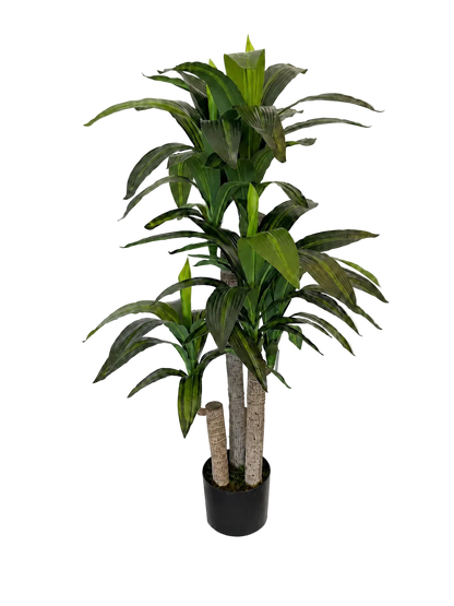 Künstliche Dracaena – Maevor | 120 cm