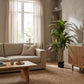 Künstliche Dracaena – Maevor | 120 cm