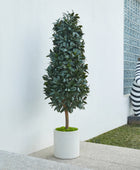 Künstlicher Lorbeerbaum – Alarion | 150 cm