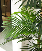 Künstliche Goldfruchtpalme – Elion | 180 cm