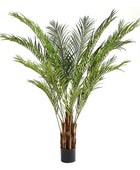 Künstliche Areca-Palme – Caliora | 210 cm