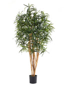 Künstliche Dracaena Reflexa – Maelis | 180 cm