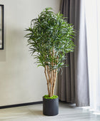 Künstliche Dracaena Reflexa – Maelis | 180 cm