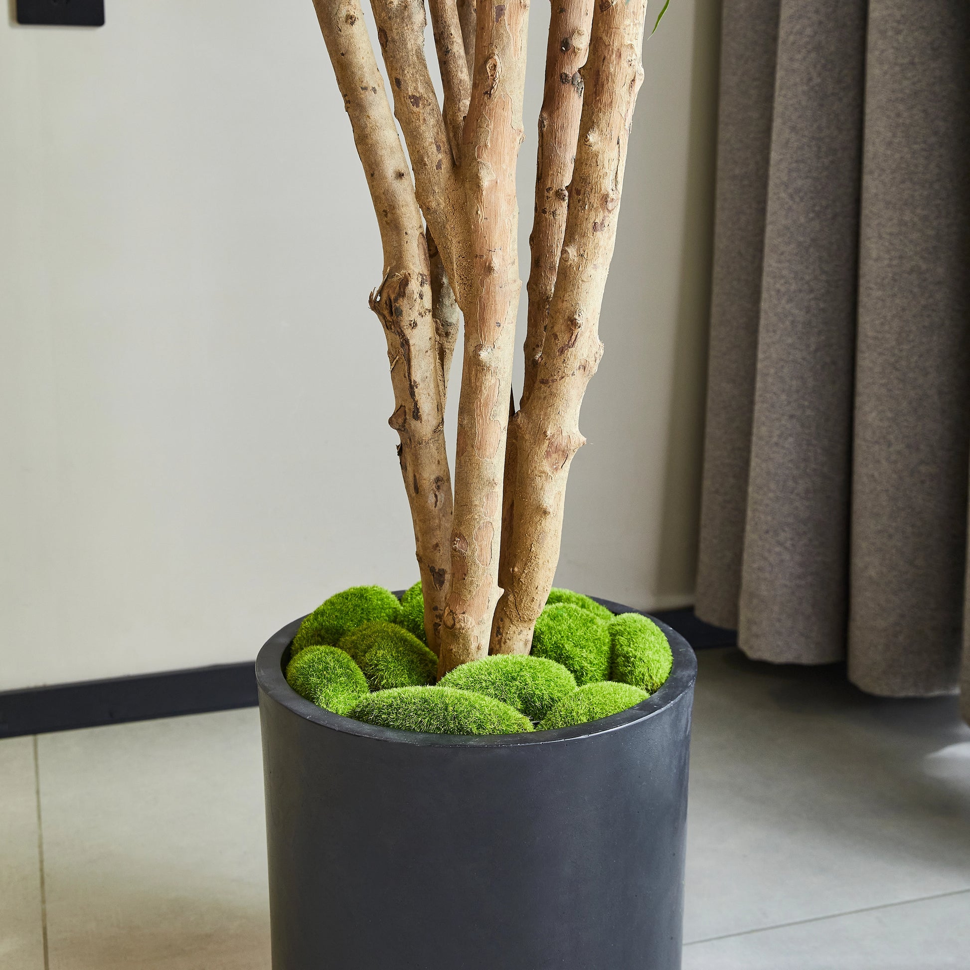 Künstliche Dracaena Reflexa – Maelis | 180 cm