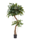 Künstlicher Ficus – Seraphius | 180 cm