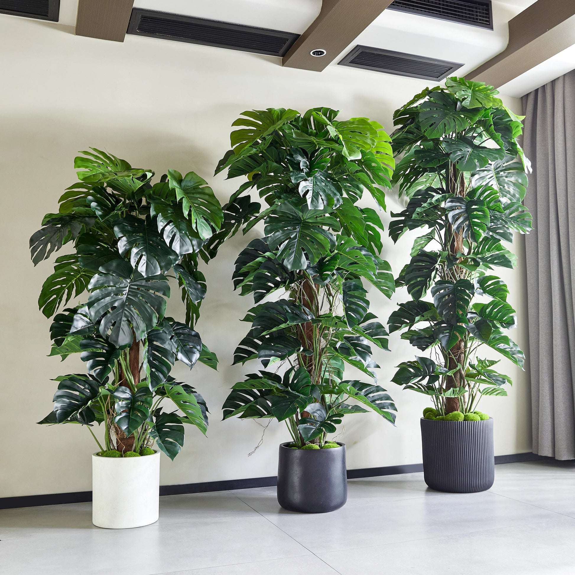 Künstlicher Split-Philodendron – Zephira | 160 cm