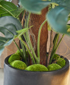 Künstlicher Split-Philodendron – Zephira | 190 cm