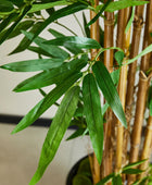 Künstlicher Bambus – Kaelen | 150 cm