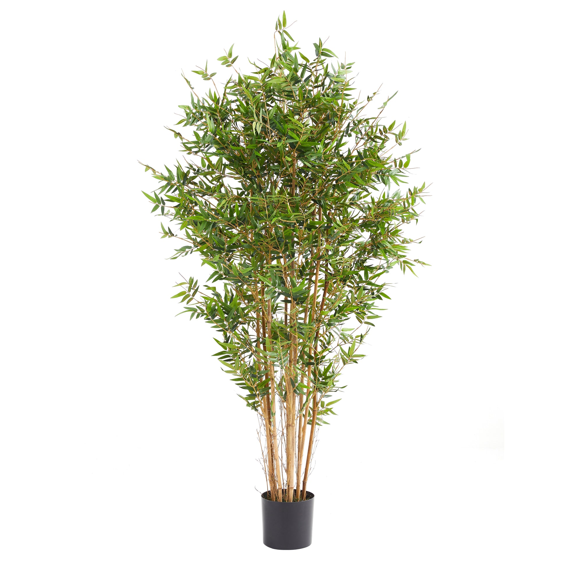 Künstlicher Bambus – Renjirō | 180 cm