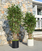 Künstlicher Bambus – Renjirō | 180 cm