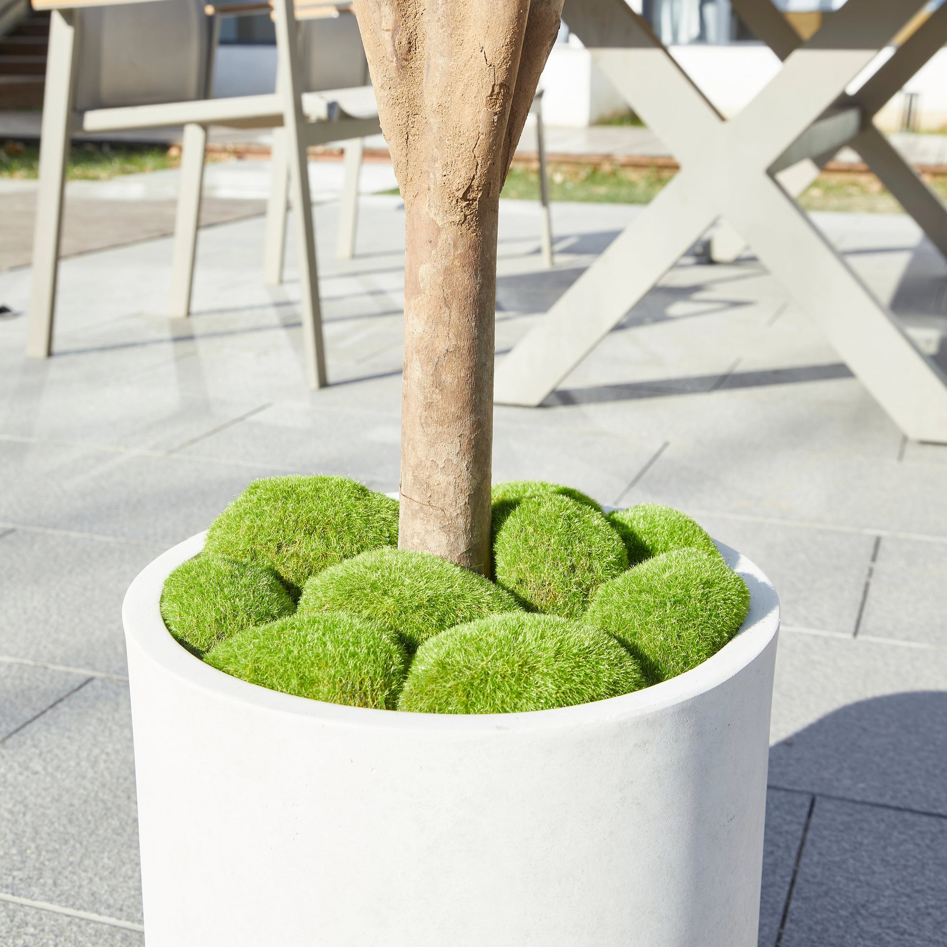 Künstlicher Olivenbaum – Callistus | 140 cm