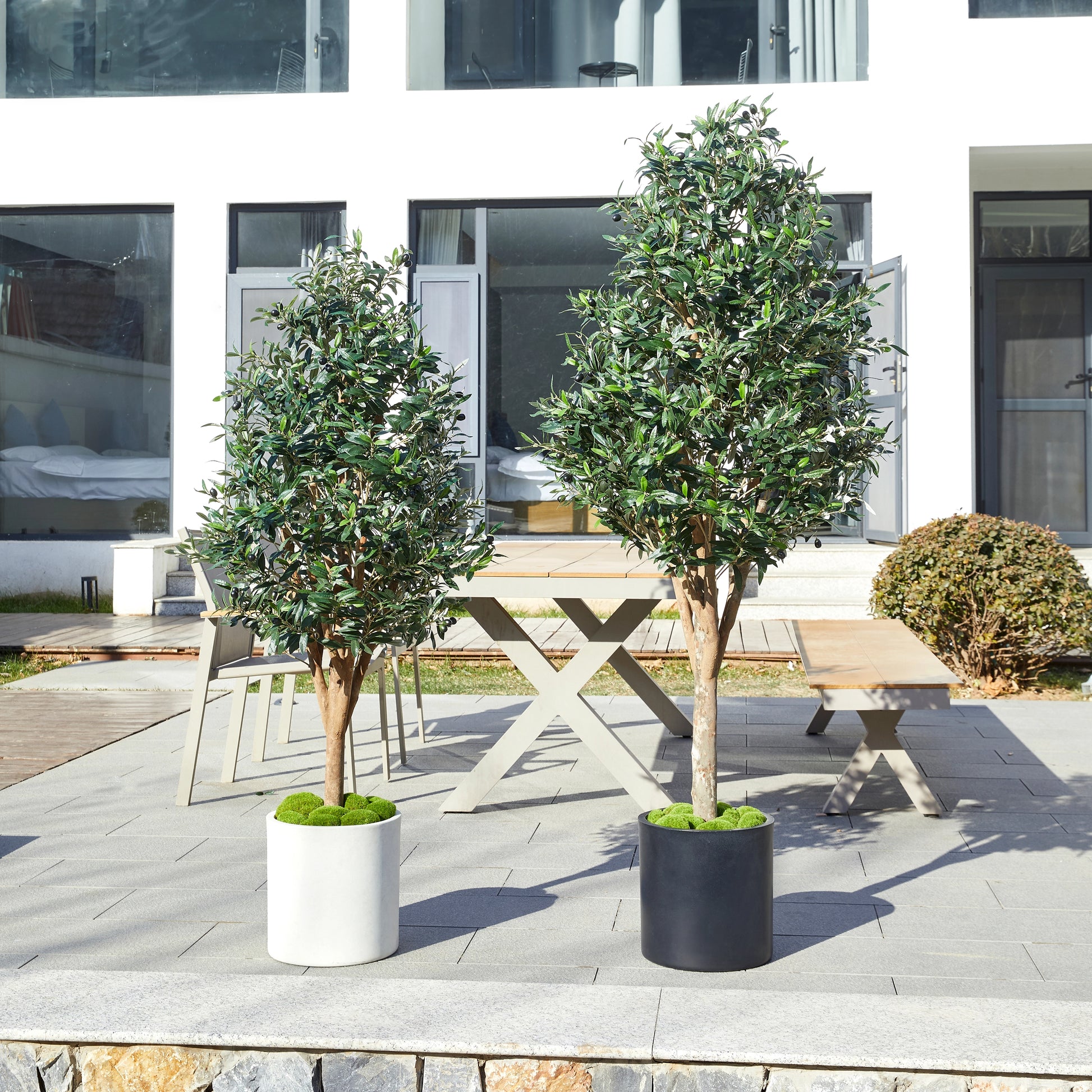 Künstlicher Olivenbaum – Callistus | 170 cm