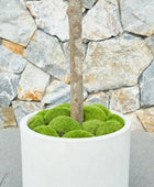 Künstlicher Olivenbaum – Thalior | 150 cm