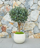 Künstlicher Olivenbaum – Nerio | 75 cm