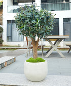 Künstlicher Olivenbaum – Nerio | 75 cm