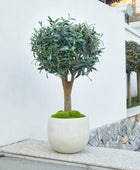 Künstlicher Olivenbaum – Nerio | 75 cm