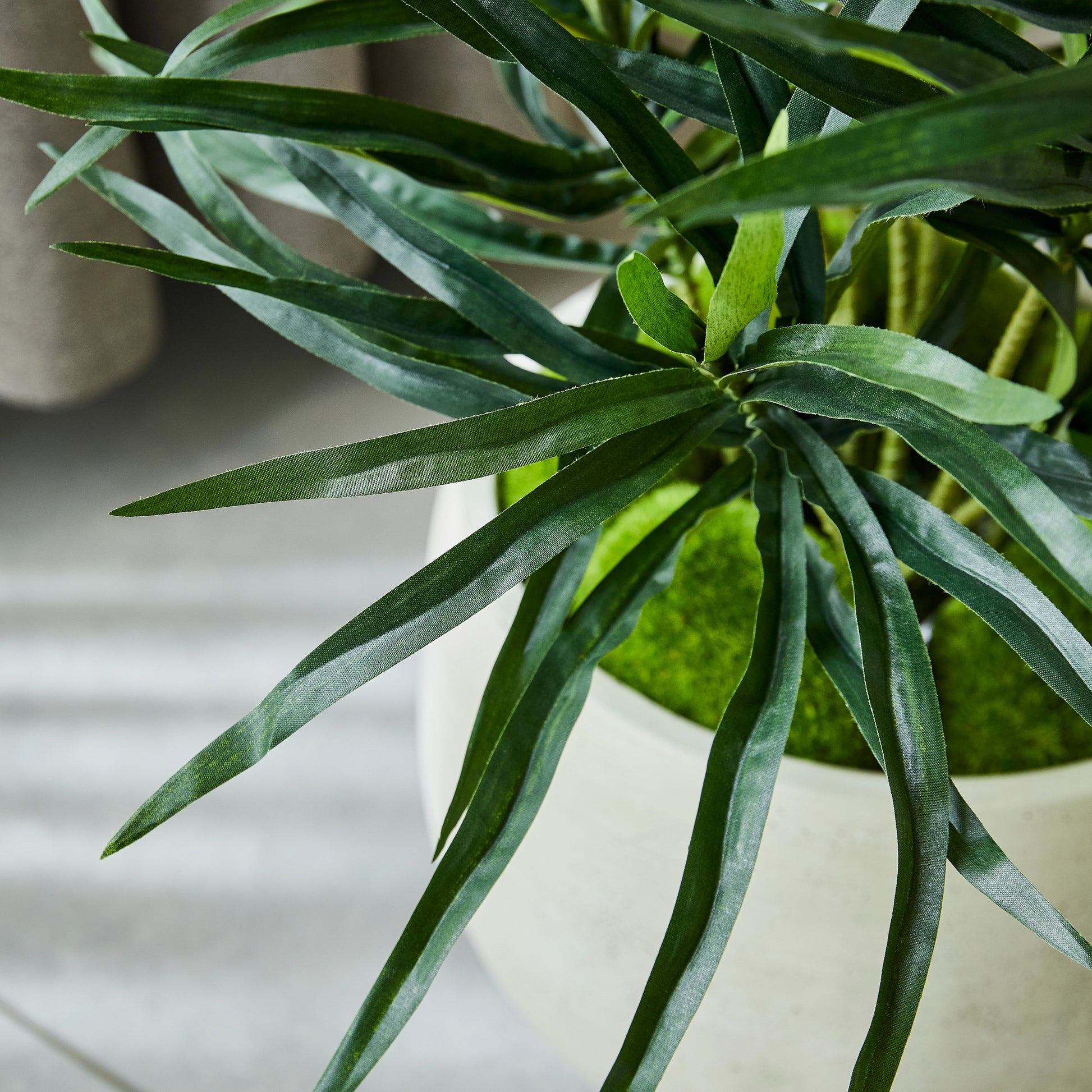 Künstliche Dracaena Reflexa - Orielle, 70 cm, Kunstpflanze von aplanta, inkl. Startertopf, in Grün, für drinnen