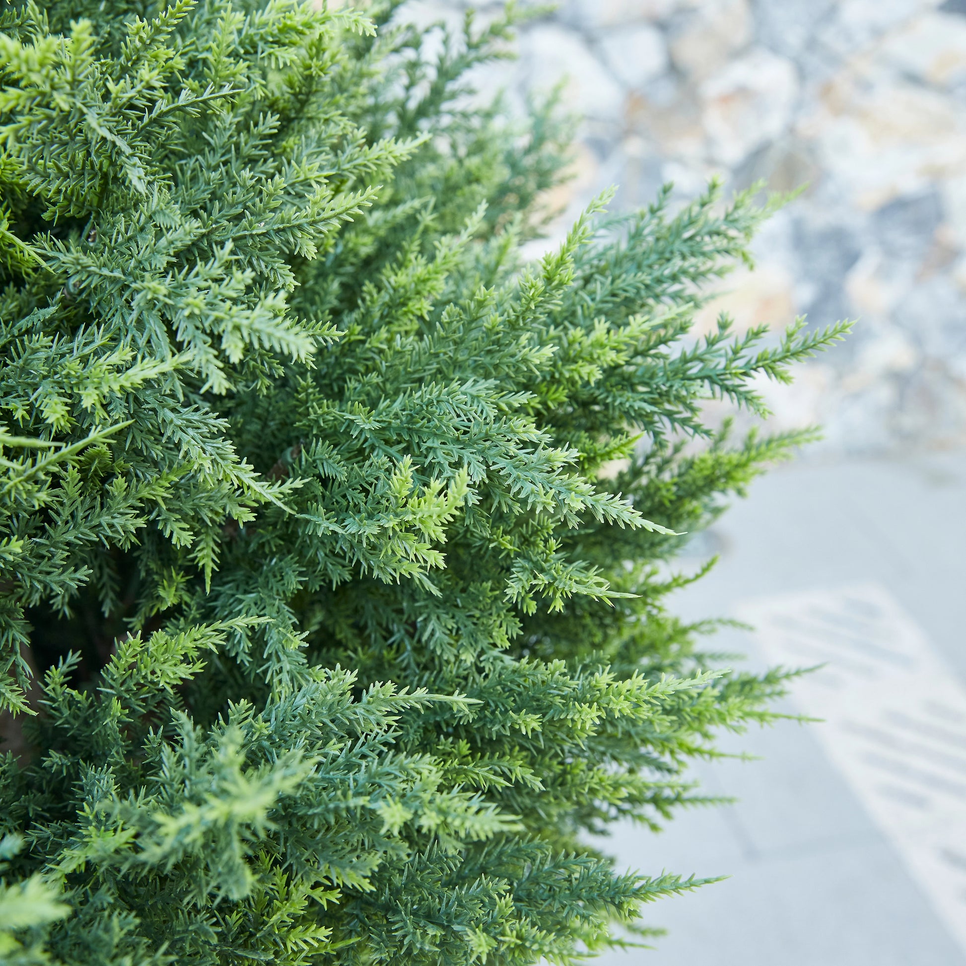 Künstliche Zypresse – Sylvano | 75 cm