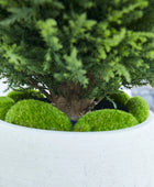 Künstliche Zypresse – Sylvano | 75 cm